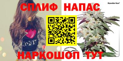 дурь Шахты