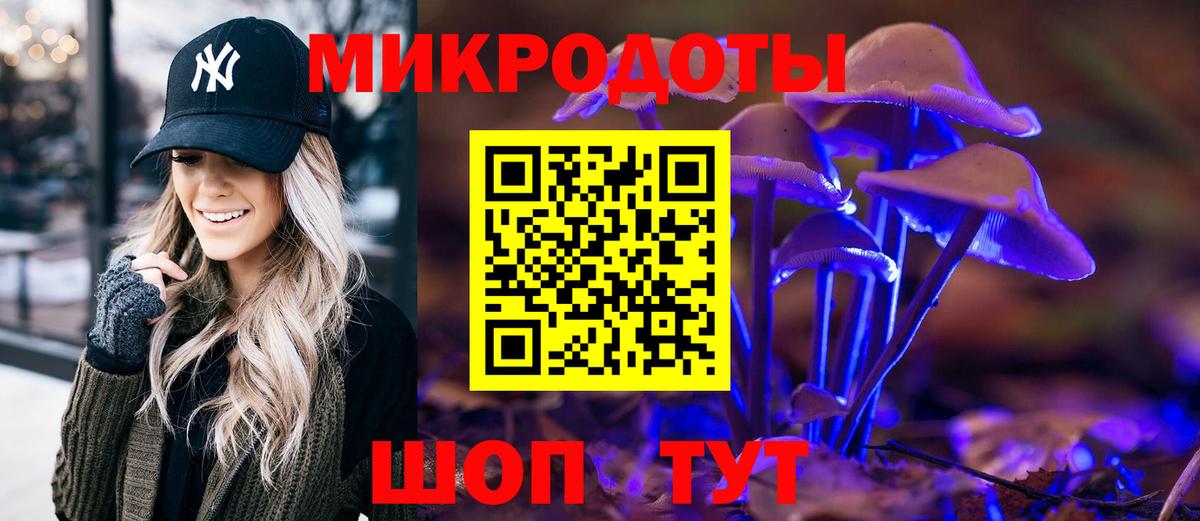 Тайшет  Галлюциногенные грибы мицелий  Вход с VPN  купить  сайты  Псилоцибиновые грибы GOLDEN TEACHER 